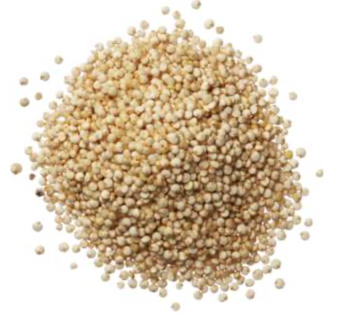 QUINOA