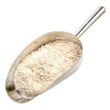 PROTEIN